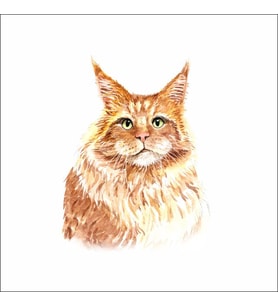Sevimli Kedi Sticker 1 Duvar Sticker 30x25 CM
