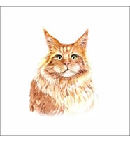Sevimli Kedi Sticker 1 Duvar Sticker 30x25 CM