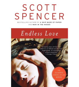 Endless Love: A Novel