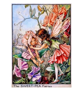 Cicely Mary Barker'ın "tatlı Bezelye Perileri" Tablo Ahşap Poster Dekoratif