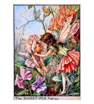 Cicely Mary Barker'ın "tatlı Bezelye Perileri" Tablo Ahşap Poster Dekoratif