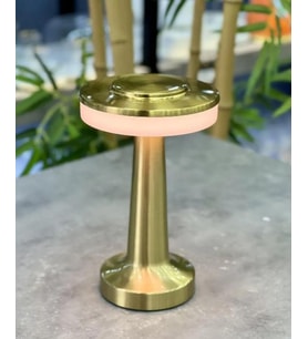 Acar Dekoratif Gold Metal Masa Lambası - 20 cm ACR-491