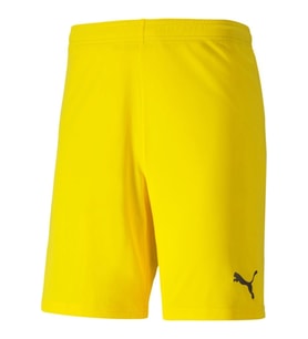 Puma Team Goal Erkek Antreman Şort 70426207 (Sarı)