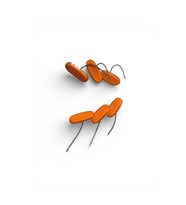 YAN ETEK SİNYALİ NEON (6 ADET SET) SARI CRAFTER SPRİNTER