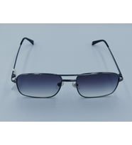 EINETTI 5088 C03 54 Erkek Güneş Gözlüğü