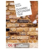 Duvarın Üstündeki Tilki