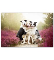 Cakatablo Gülerek Poz Veren Sevimli Köpekler ve Çiçekler MDF Tablo