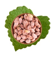Tuzlu Fıstık Jumbo 500 g (STD)