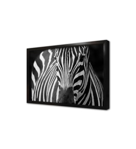 Yakın Çekim Zebra Çerçeveli Mdf Tablo