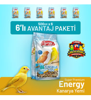 Kanarya Yemi 500 g - 6 Adet