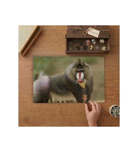 Maymun Mandril Afrika Tasarımı 240 parça Ahşap Puzzle Ahşap Kutuda MP04214