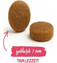 Taze Kümes Hayvanlı Yetişkin Kedi Maması 400 Gr
