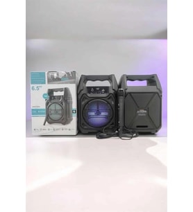 Kablosuz 6.5 İnç TWS Bluetooth Hoparlör