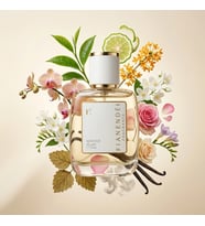 FIANENDÉI PARFUMS W-V4 SPECIAL KADIN PARFUM 50 ML