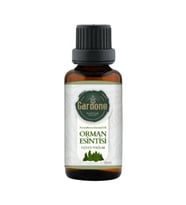 Orman Esintisi ( Oda Kokusu Aroma Terapi Buhurdanlık / Difüzör Yağı ) 30 ML