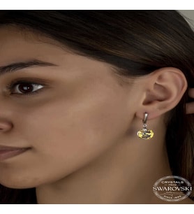 S-warovski Crystal Taşlı Gümüş Beyaz Sallantılı Kadın Küpe