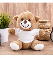 Peluş Ayıcık