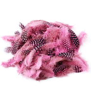50 ADET PUANTİYELİ PEMBE SİYAH KUŞ TÜYÜ PEMBE KUŞ TÜYÜ PİNK BIRD FEATHER PEMBE ŞEFFAF BALON TÜYÜ