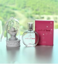 Led Işıklı Melek Fanus &  Avon Wish of Love Parfüm Kadına Hediye Seti