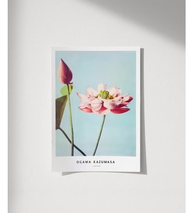 Çerçevesiz Poster Ogawa Kazumasa Lotus