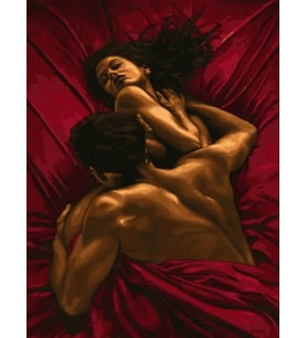 Sıcak Yatak Sayılarla Boyama Seti 40x50 cm (Tuvale Gerili)