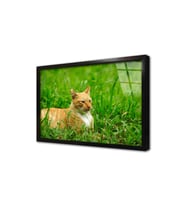 Kedi Çerçeveli Cam Tablo