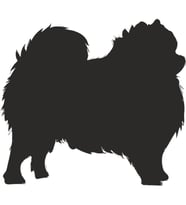KÖPEK FOLYO STİCKER 160cm Uzunluk