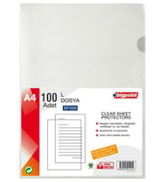 Bigpoint L Dosya Standart 80 Mikron 100lü Paket BP299