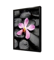 Spa Taşları ve Orkide Çerçeveli Mdf Tablo