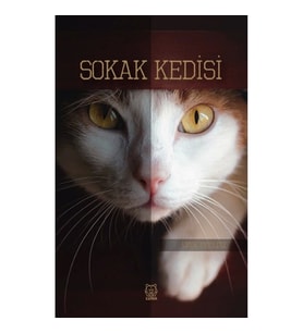 Sokak Kedisi