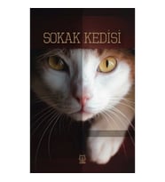 Sokak Kedisi