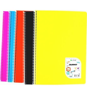 Çınar Colormaxi Spiralli Defter Plastik Kapak Kareli 96 YP A4 96/4 (Karışık Renk 1 Adet)