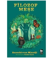 Filozof Meşe Bilgi Çocuk