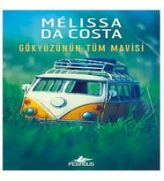 Gökyüzünün Tüm Mavisi