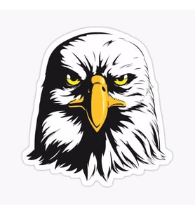 Araba için Kartal Oto Sticker Yapıştırması Etiket  17CM w6