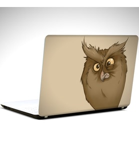 Baykuş Laptop Sticker 10 İnch (25X19CM)
