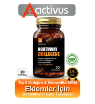 Northway Kolajen tip 2 Eklem desteği Tam Destek Metilsülfonilmetan MSM Type II diz dirsek bilek