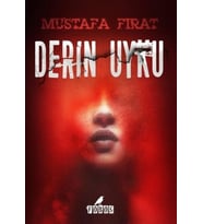 Derin Uyku