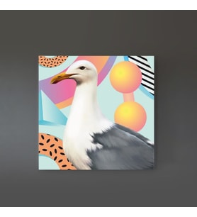 Seagull