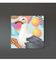Seagull