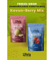 2’li Dondurularak Kurutulmuş Kuru Meyve - Sağlıklı Atıştırmalık - Kavun Ve Berry Mix Kurusu Freeze Dried