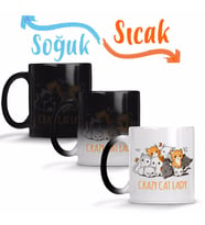 Crazy Cat Lady Kedi Sihirli Kupa Bardak Porselen