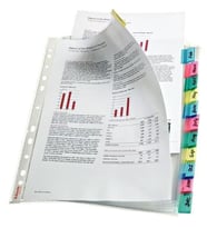 Esselte 414170 Ayraçlı Poşet Dosya (12 Sayfa)