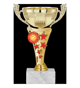 ODAK KUPA - Economy Kupalar - ECO-030 C - 19 cm