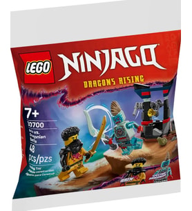 Lego Ninjago Arin ile Ejderinsan Savaşı 30700 (Çok Renkli)