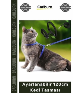 #KediTasması Renkli Lacivert Mavi Kırmızı Siyah Konforlu Dayanıklı Ayarlanabilir 120cm Kedi Tasması