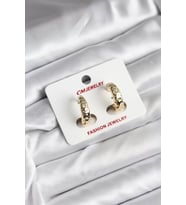 14K Gold Renk Kaplama CM Kadın Küpe - TJ-BKP11420
