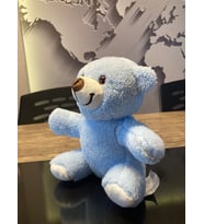 ÖZGÜNER RENKLİ  20CM AYICIK (Mavi)