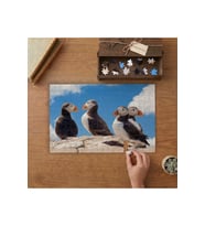 Puffin - Yabani Kuşlar Tasarımı 240 parça Ahşap Puzzle Ahşap Kutuda MP01962