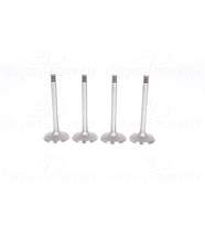 Volkswagen Caddy Golf Jetta Passat Y5 Audi A4 1.9 TDI 2.0 TDI Emme Subap Valfi 4'lü Set